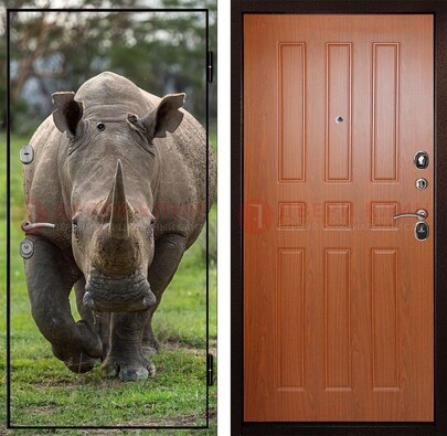 Металлическая дверь с фотопечатью носорога ДФ-31 в Талдоме