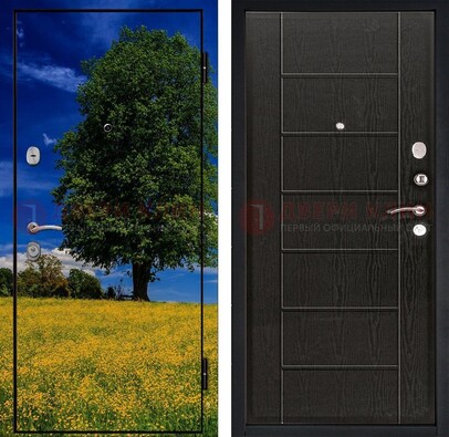 Железная дверь с фотопечатью дерева в поле ДФ-36 в Талдоме